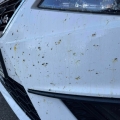 Plyn-do-usuwania-owadow-ptasich-odchodow-z-karoserii-Bug-Buster-MW-500ml-Stan-opakowania-oryginalne.jpg